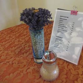 Kávézó a Várkastélyban Ozora - Egyéb