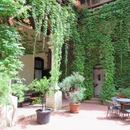 Kávézó a Várkastélyban Ozora - Egyéb