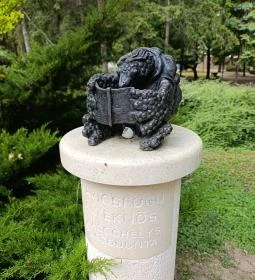 274. legjobb látnivaló: Kavicsfogú álteknős