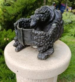 Kavicsfogú álteknős