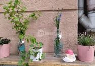 Kedveskrém - Balassi Bálint utca Budapest