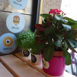 Kedveskrém - Batthyány utca Budapest - Belső