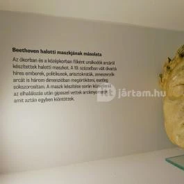 Kegyeleti Múzeum - Temetkezési és Kegyeleti Szakgyűjtemény Budapest - Egyéb