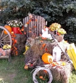 Kehida Termál Gyógy- és Élményfürdő