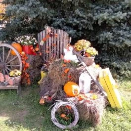 Kehida Termál Gyógy- és Élményfürdő, Kehidakustány - Egyéb