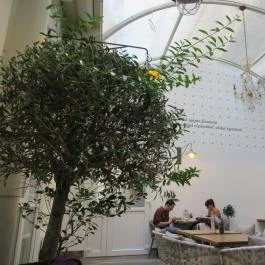 Kemenes Cukrászda & Bisztró Budapest - Belső