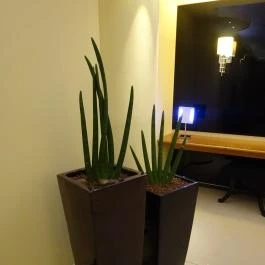 Kempinski Hotel Corvinus Budapest Budapest - Belső