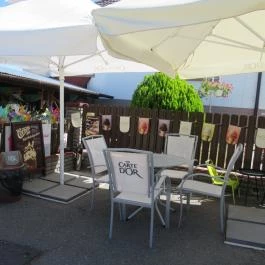 Kert Fagyizó, Székesfehérvár - Egyéb