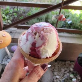 Kert Fagyizó, Székesfehérvár - Egyéb