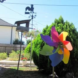 Kert Fagyizó, Székesfehérvár - Egyéb