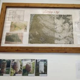 Kertvárosi Helytörténeti Gyűjtemény Budapest - Egyéb