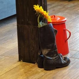 Keszegsütő Budapest - Belső