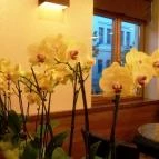 Kézműves Cukrászda Gyula - Egyéb