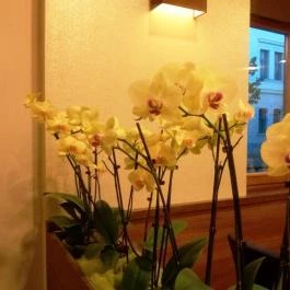 Kézműves Cukrászda Gyula - Egyéb