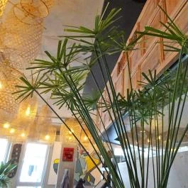 Khan Food & Bar Budapest - Belső