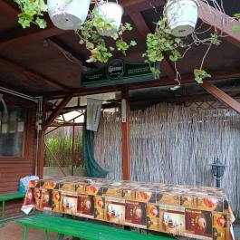 Kicsi Kert Bár Budapest - Egyéb