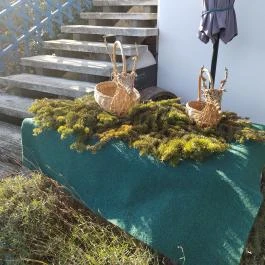 Kifli Művek Budapest - Egyéb