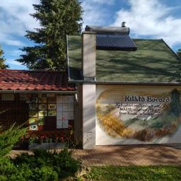 Kilátó Borozó, Zalakaros - Külső kép