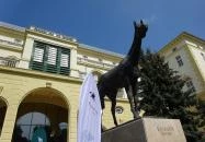 Kincsem Park Budapest