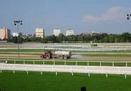 Kincsem Park Budapest