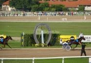 Kincsem Park Budapest