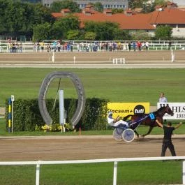 Kincsem Park Budapest - Egyéb