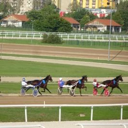Kincsem Park Budapest - Egyéb