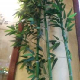 Kincsestál Kínai Gyorsétterem Budapest - Belső