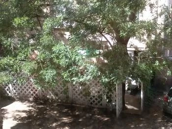 Kisbojtár Vendéglő - Dagály utca Budapest Kisbojtár Vendéglő - Dagály utca Budapest