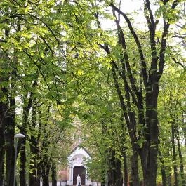 Kisboldogasszony-templom Budapest - Egyéb