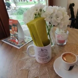 Kisduna Café Budapest - Belső