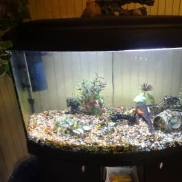 Kisfaludy Étterem, Sümeg - Egyéb