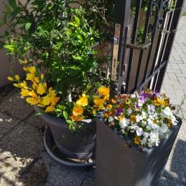 Kisföldes Étterem Tata - Egyéb