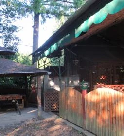 Kisinóc Sörkert & Étterem