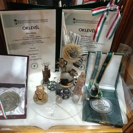 Kiss Cuki Lajosmizse - Egyéb