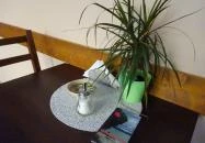 Kitsune Japán Étterem & Kávézó Budapest