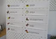 Kiwi Fagyizó Sopron