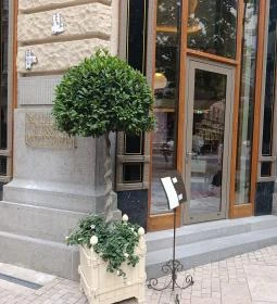 Klotild Patisserie