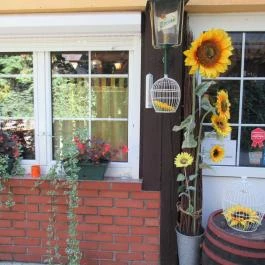 Kóborló Vendéglő Mátrafüred - Külső kép