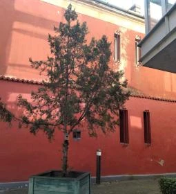 Kolbászda Vendéglátó Gasztronómiai Kft.