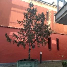 Kolbászda Vendéglátó Gasztronómiai Kft., Budapest - Külső kép