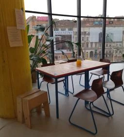 Kollab Kávézó - Mammut