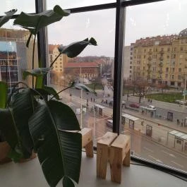Kollab Kávézó - Mammut Budapest - Egyéb
