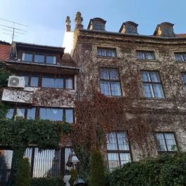 Koller Galéria Budapest - Egyéb