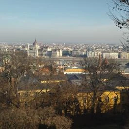 Koller Galéria Budapest - Egyéb