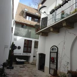 Koller Galéria Budapest - Egyéb