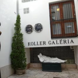Koller Galéria Budapest - Egyéb