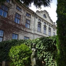 Koller Galéria Budapest - Egyéb