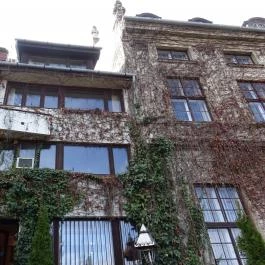 Koller Galéria Budapest - Egyéb