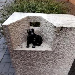 Kolodko: Anyám tyúkja miniszobor, Vác - Egyéb